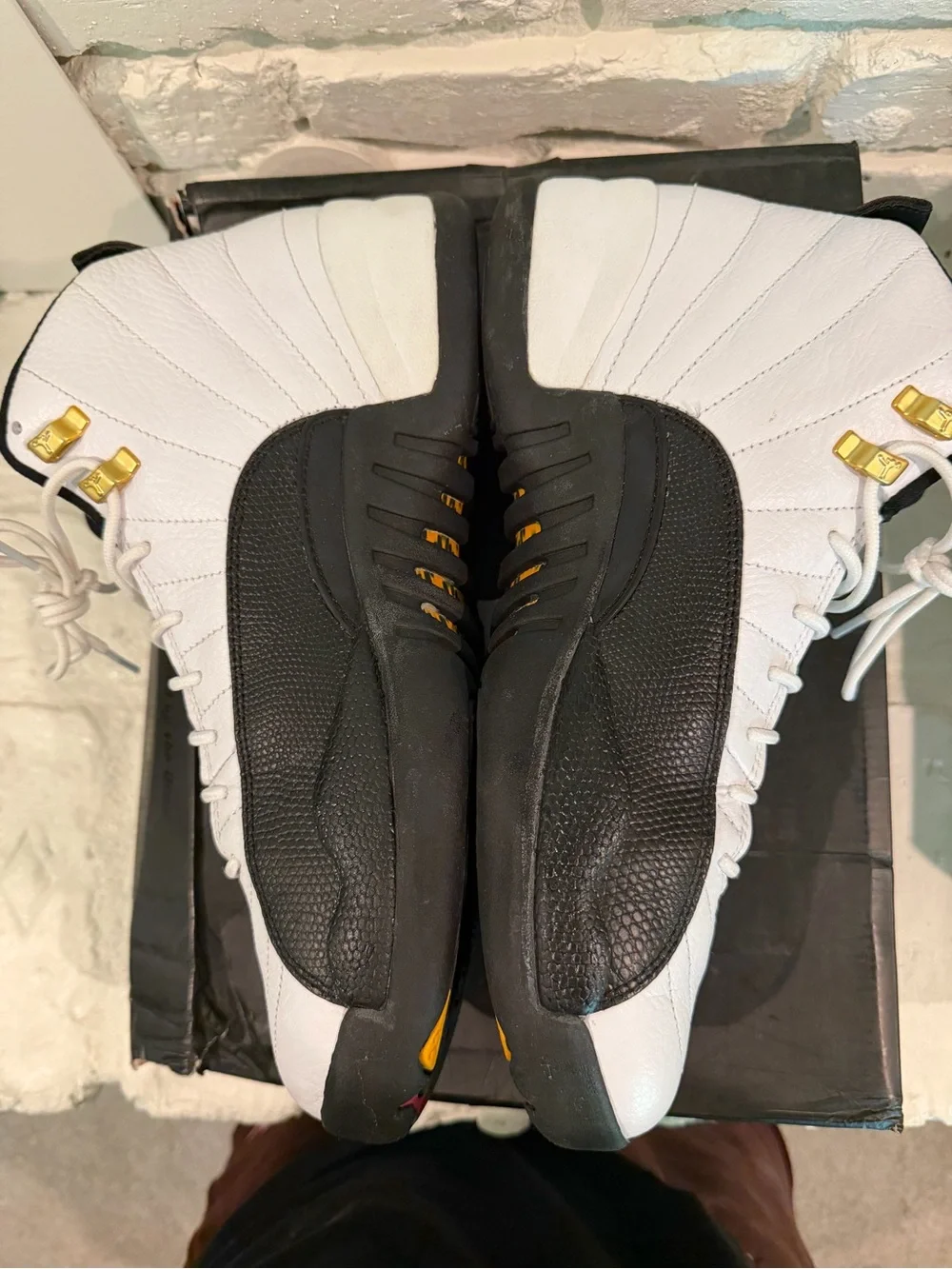 Air Jordan Retro 12